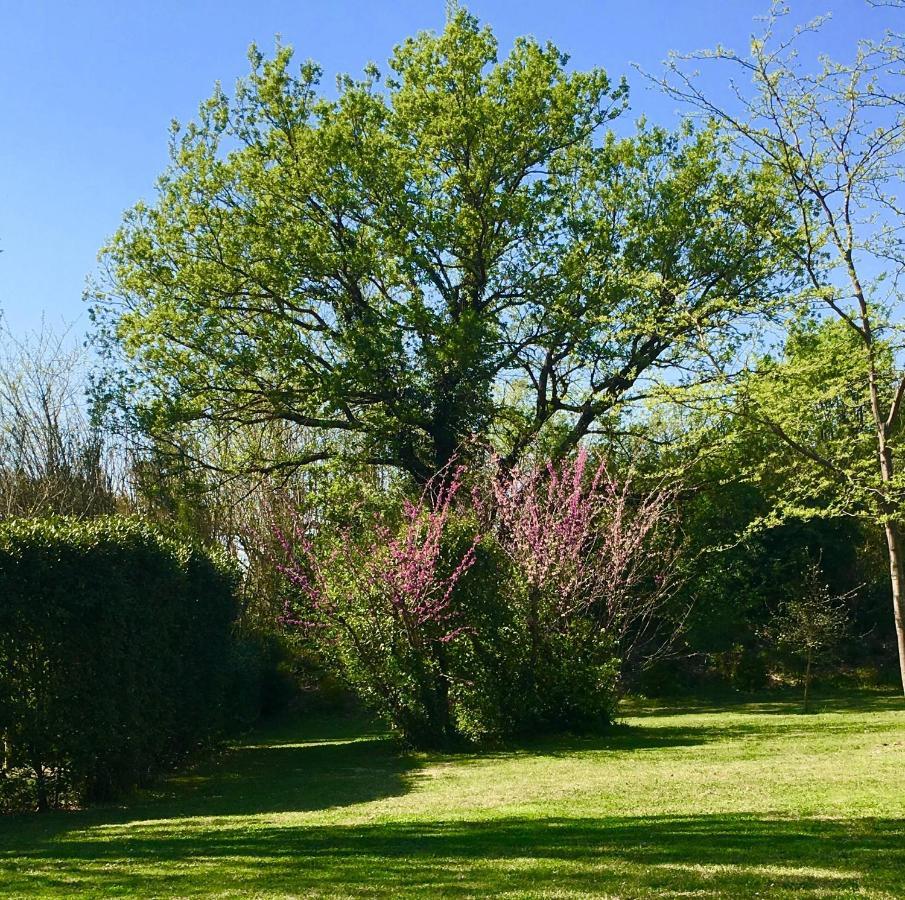 Maison D'Hotes Campagne-Baudeloup Bed & Breakfast L'Isle-sur-la-Sorgue Exterior photo